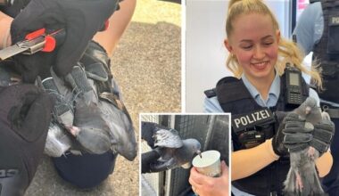 Bundespolizeidirektion München: Taubenrettung im Ostbahnhof