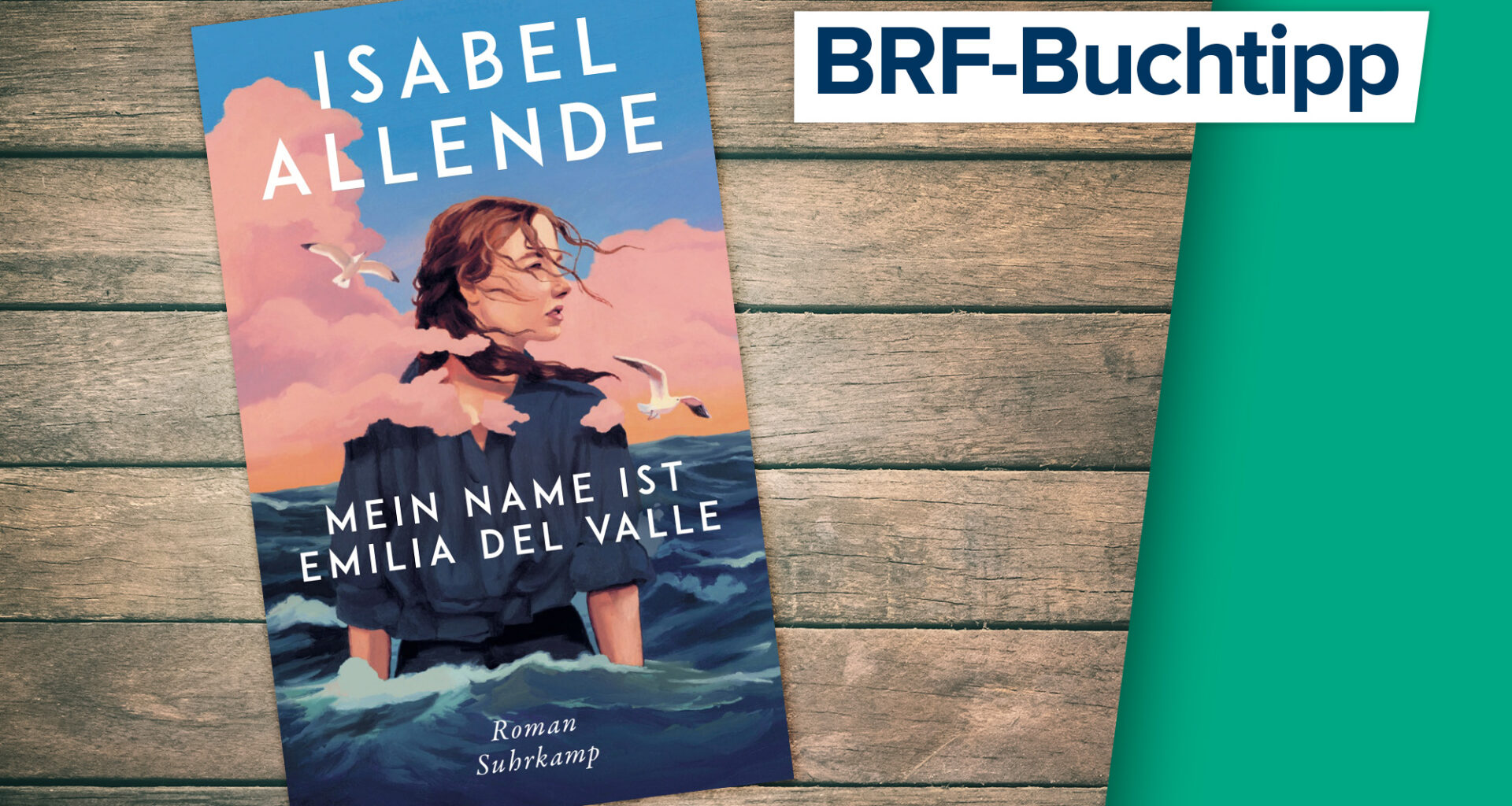 Isabel Allende: Mein Name ist Emilia del Valle