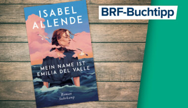 Isabel Allende: Mein Name ist Emilia del Valle