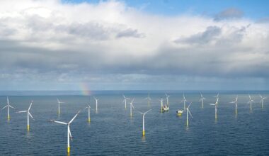 Studie: Windparks könnten chemische Stoffe ins Meer abgeben | Wissenschaft