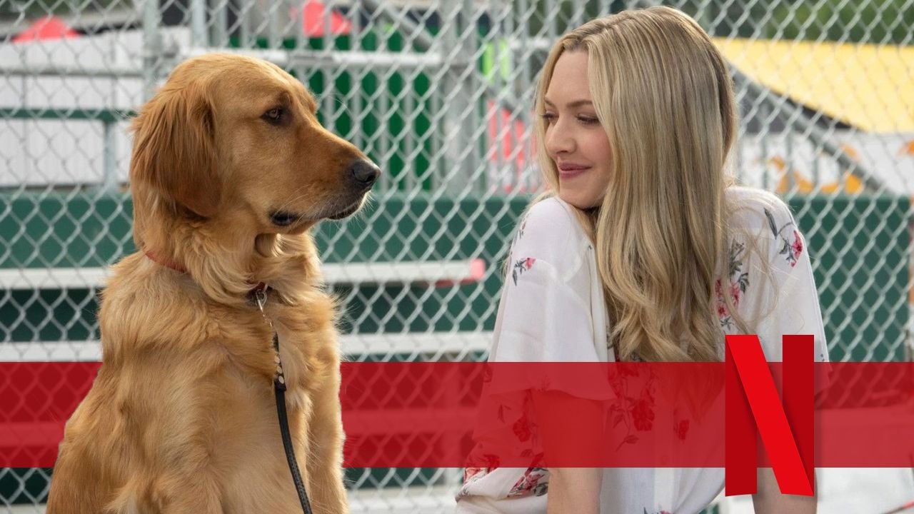 Neu auf Netflix: In dieser Bestseller-Verfilmung spielt Kevin Costner einen Hund, der unbedingt ein Rennfahrer sein möchte - Kino News