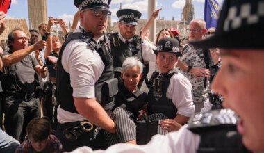 London: Fast 500 Verhaftungen bei pro-palästinensischer Demonstration - Politik