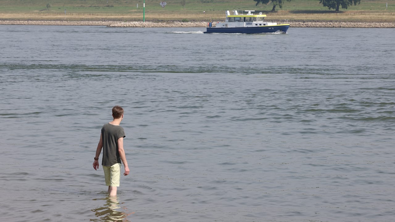 Trotz 1000 Euro Strafe! Düsseldorfer ignorieren Badeverbot im Rhein | Regional