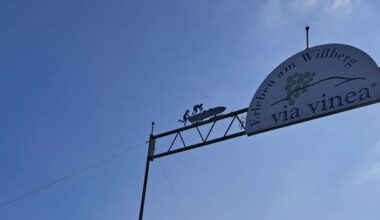 Diese Ausflugsziele bei Mainz müsst ihr kennen