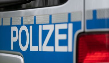Zwei falsche Picassos in Stuttgarter Auktionshaus verkauft - Nachrichten aus Stuttgart