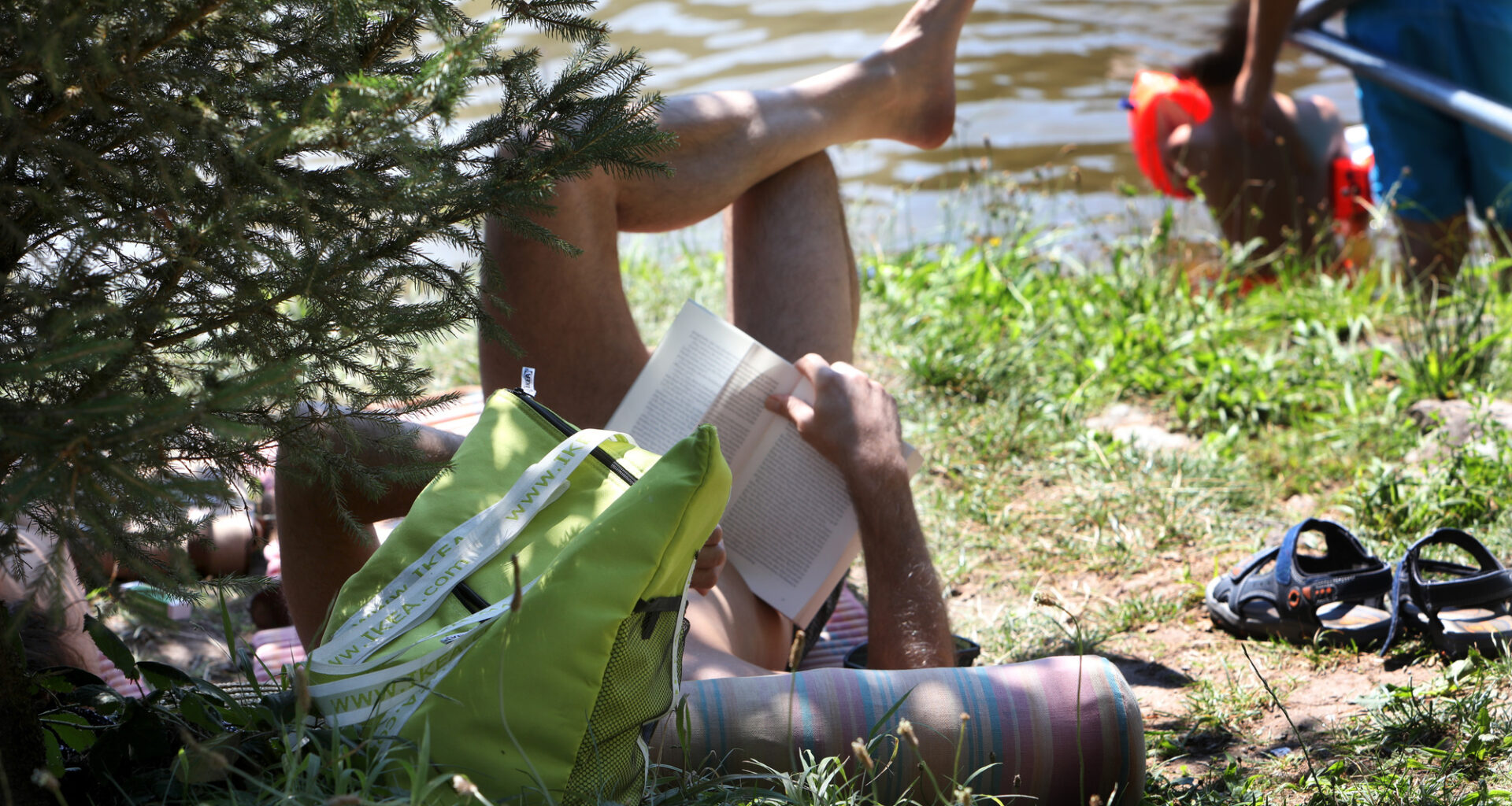 Lesen auf dem Balkon: Diese Bücher empfehlen Schorndorfer Expertinnen im Sommer  - Nachrichten aus Schorndorf