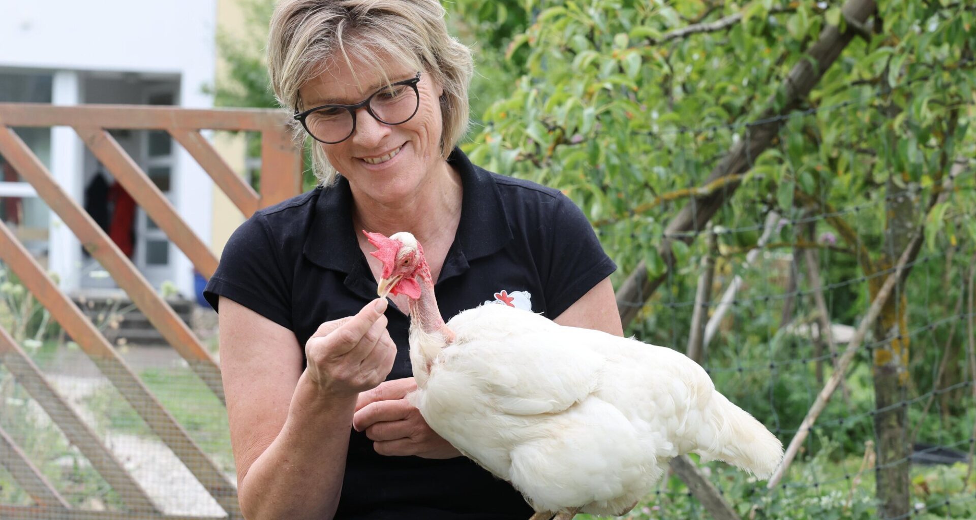 Fellbach: Nackthals-Huhn Holly im Weinberg gefunden - so geht es ihm inzwischen  - Nachrichten aus Fellbach