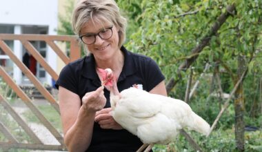 Fellbach: Nackthals-Huhn Holly im Weinberg gefunden - so geht es ihm inzwischen  - Nachrichten aus Fellbach