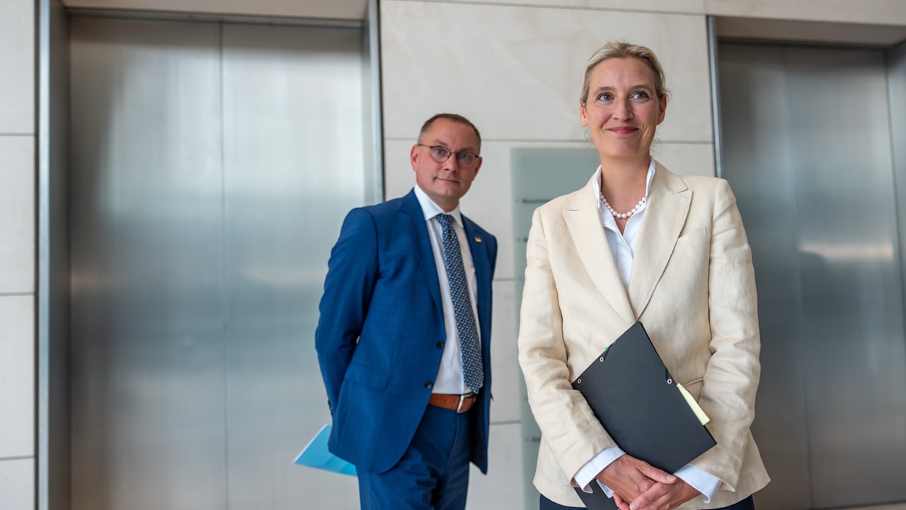 AfD steigt auf 25 Prozent: Union unter Druck - bild.de