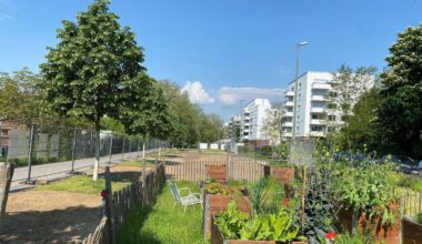 Frankfurt: Versiegelung in Grünanlagen