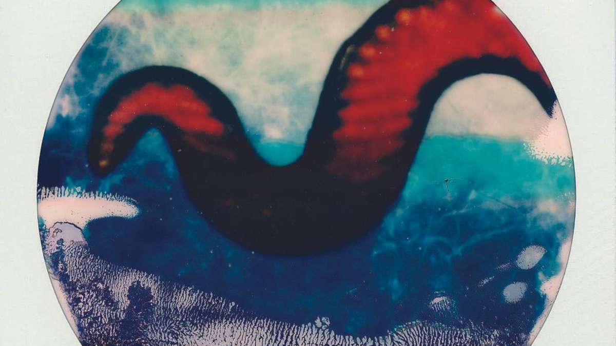 Kasseler Fotograf Thomas Huther hat den Bildband „Sehreise“ herausgegeben