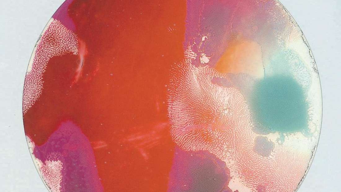 Thomas Huther Sehreise Fotogramme meiner Reisen 2022–2023festgehalten auf dem Polaroid Color 600 Film - Round Frame Edition2024Limitierte Auflage 30 Stückhandschriftlich nummeriert im Buch