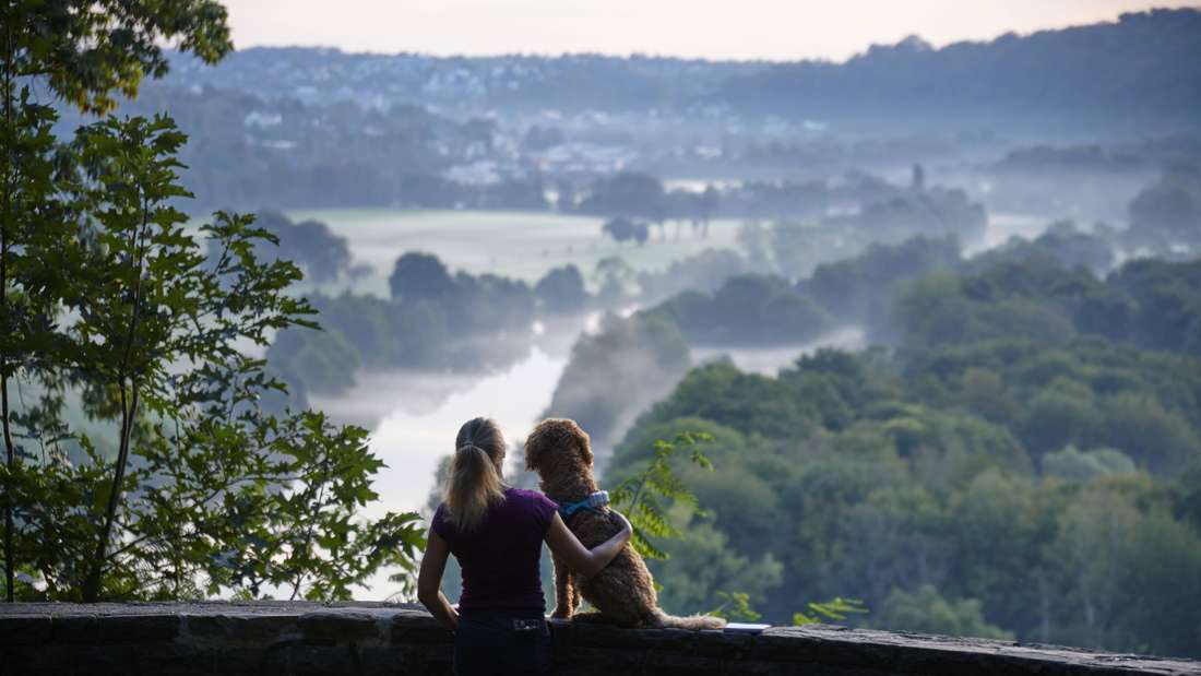 Hund und Frau oberhalb des Baldeneysees in Essen, Ruhrgebiet