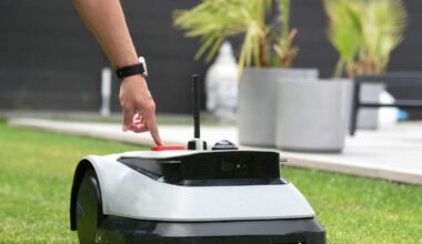 Städte verhängen Mähroboter-Verbote mit bis zu 10.000 Euro Bußgeld