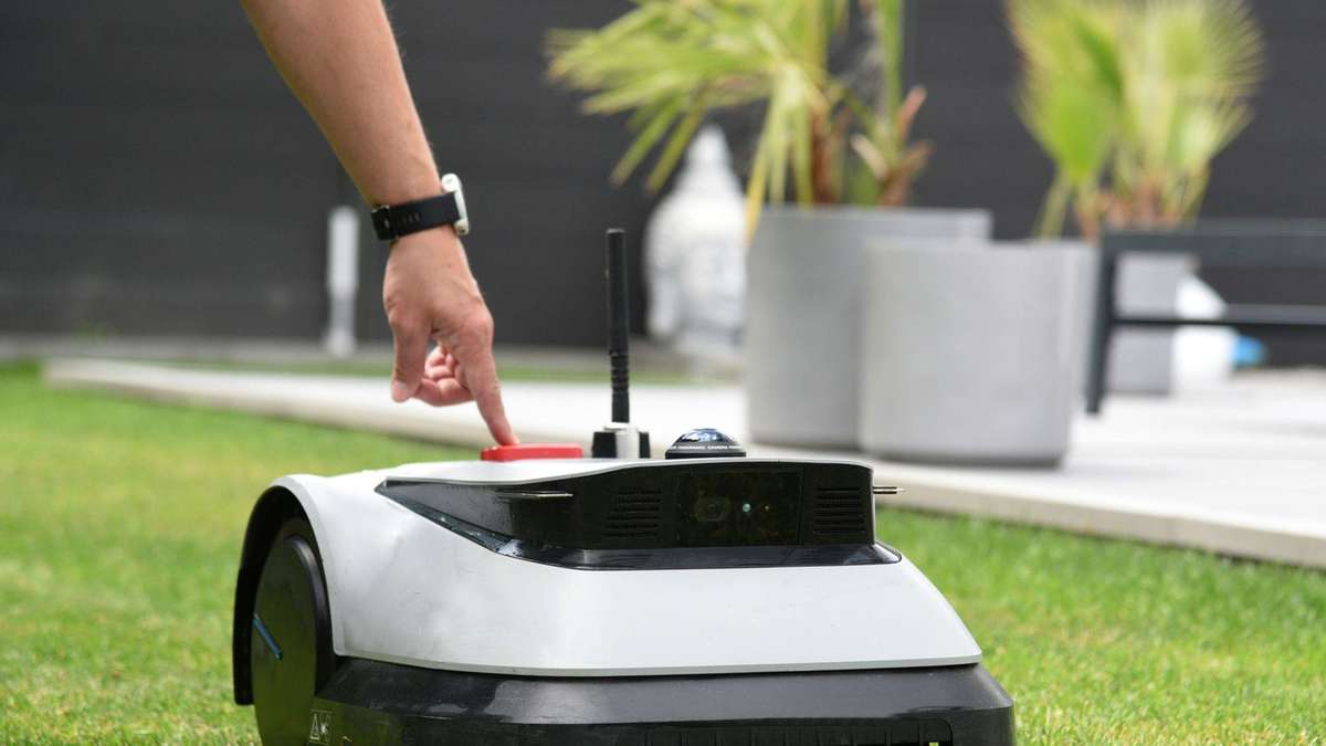 Städte verhängen Mähroboter-Verbote mit bis zu 10.000 Euro Bußgeld