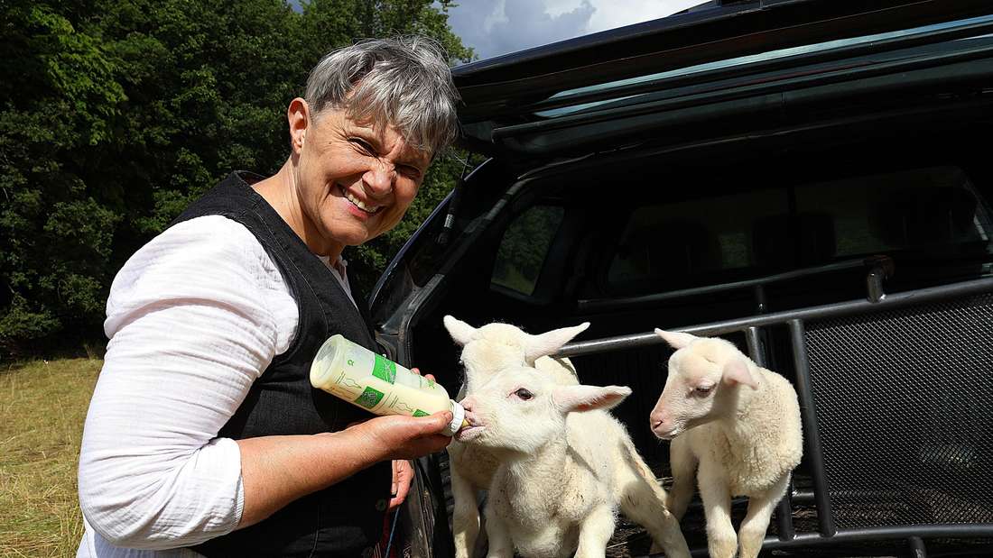 Monika Timmerberg versorgt die kleinen Lämmchen