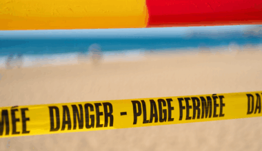 Frankreich: Strandsperrung wegen giftiger Meerestiere