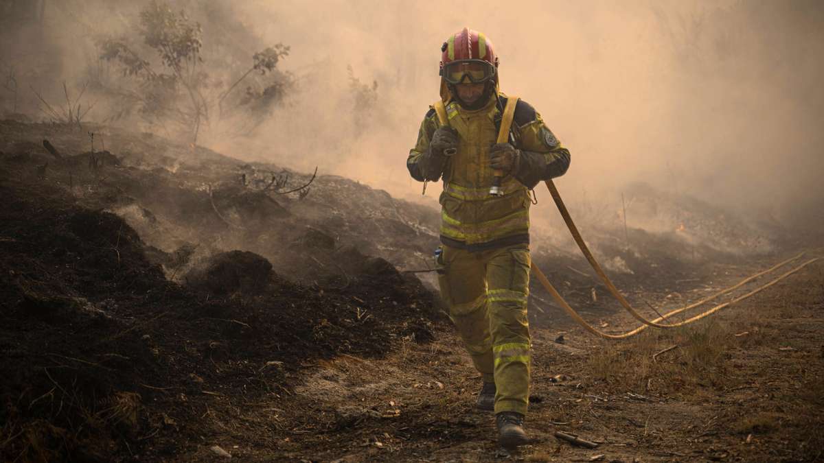 Waldbrände in Spanien und Frankreich zwingen zu Evakuierungen