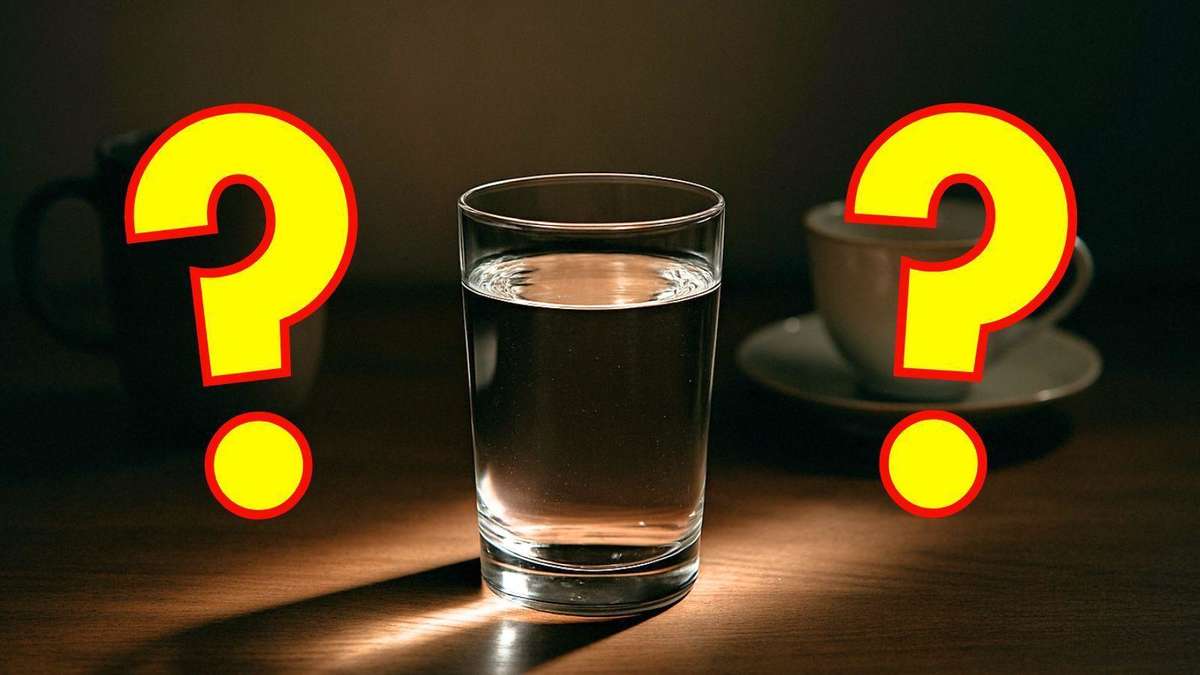 Die 2 einzigen Getränke, die du außer Wasser trinken solltest