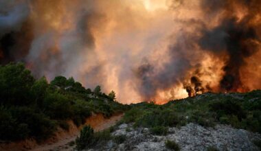 Video dokumentiert Waldbrand-Katastrophe in Frankreich – Hunderte fliehen