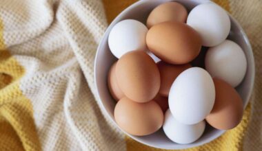 Wie viele Eier kann man pro Woche bedenkenlos essen?