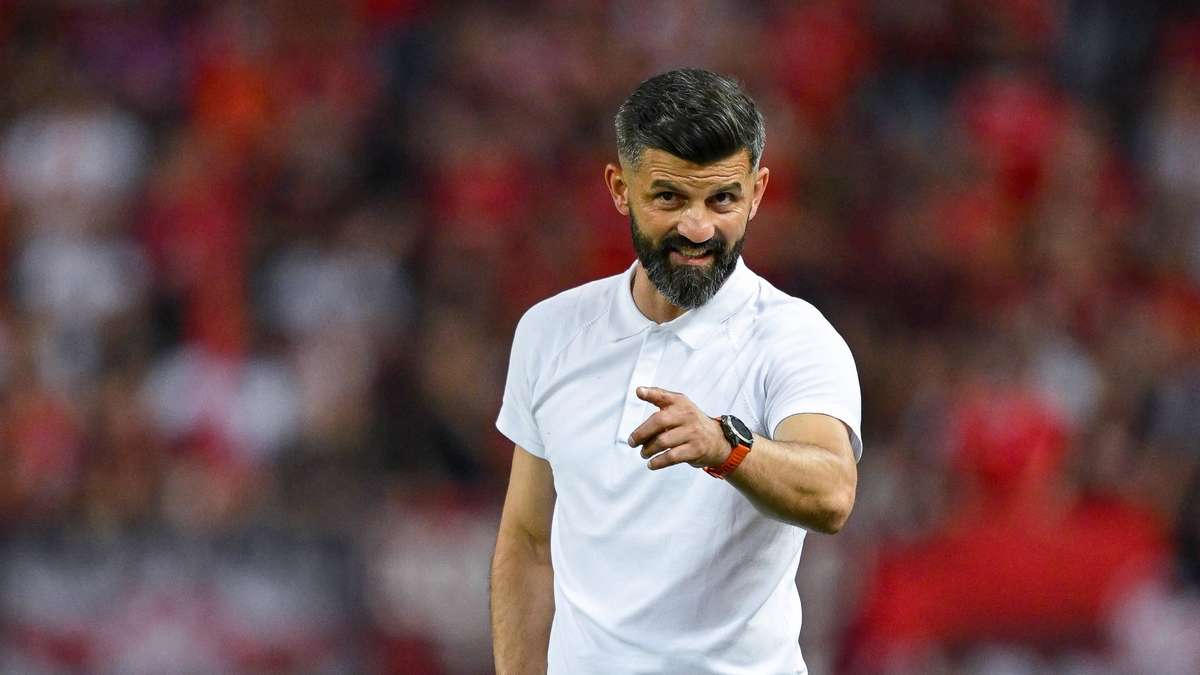 FC Schalke will offenbar Liga-Rivalen bei Transfer von Muslic-Liebling dazwischenfunken