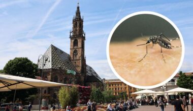 Erster Fall gefährlicher Tropenkrankheit in Südtirol: Behörden beschließen Sondermaßnahmen