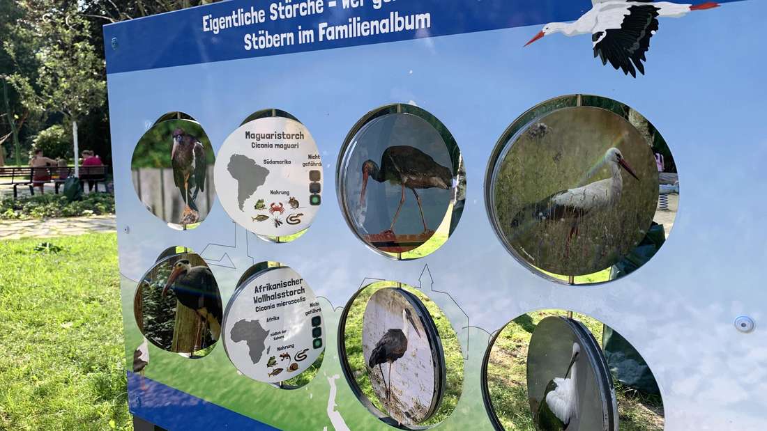 Der Storchenerlebnispark Bochum vermittelt durch Schautafeln Wissen über Störche.