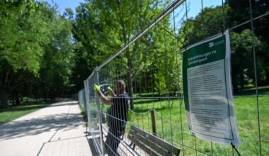 „Wir leben eine kleine Utopie“ – Warum 1500 Menschen in Frankfurter Park campen