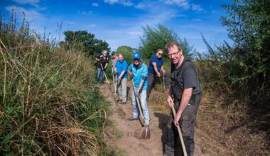 Weg zur 200 Jahre alten Eiche bald barrierefrei
