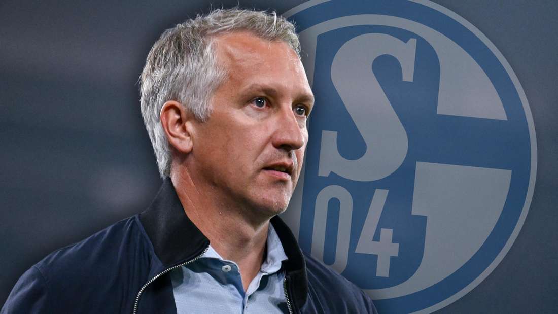Frank Baumann vor dem S04-Logo.