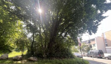 München: Ärger im Busch - Unerlaubtes Nacht-Lager besorgt Anwohner