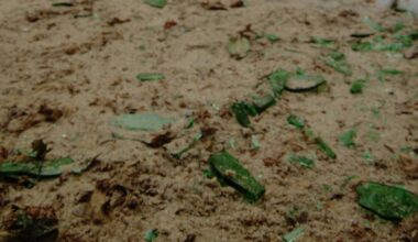 Teil eines Berliner Kinderspielplatz gesperrt