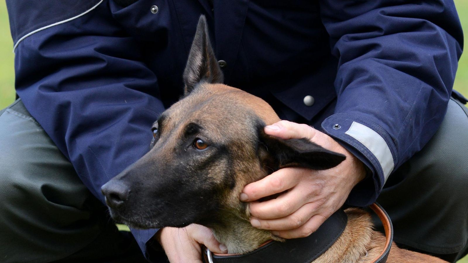 Einbruch in Witten: Polizeihund beißt jungen Verdächtigen