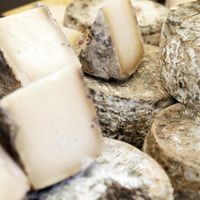Tomme cheese from Savoie