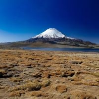 parina cota Vulcano Chile