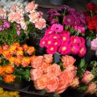 Velbert: 15 Jahre Blumen Hattermann