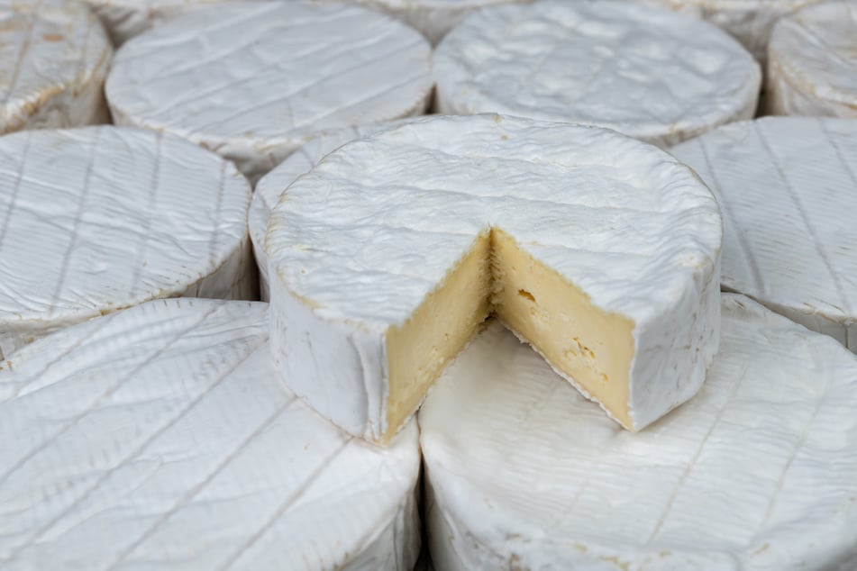 Drei Camembert-Produkte des französischen Herstellers Chavegrand könnten in Deutschland von Listerien befallen sein. (Symbolfoto)