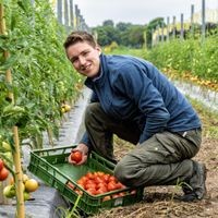 Auf dem Wickrather Hof kann man Gemüse selbst ernten. „Ab nächste Woche geht es los“, sagt Juniorchef Jonas Klanten. 