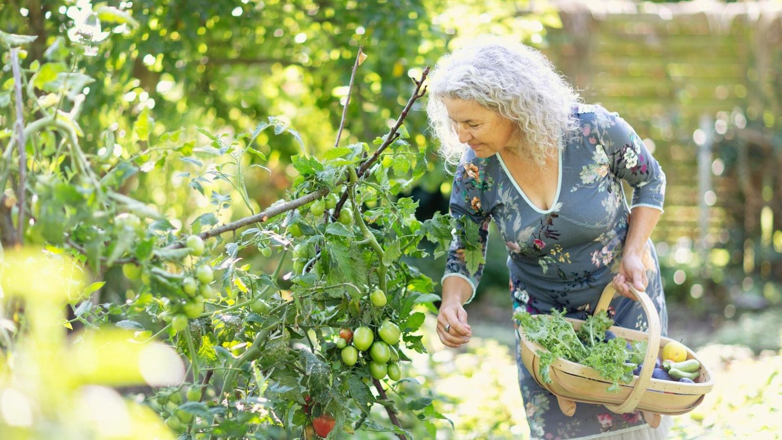Wo das auch ohne eigenen Garten möglich ist