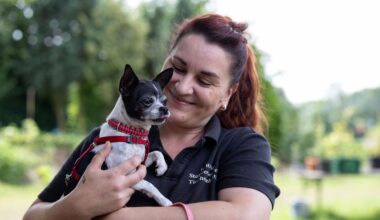 Tier aus dem Tierheim Bochum adoptieren: Das muss man beachten
