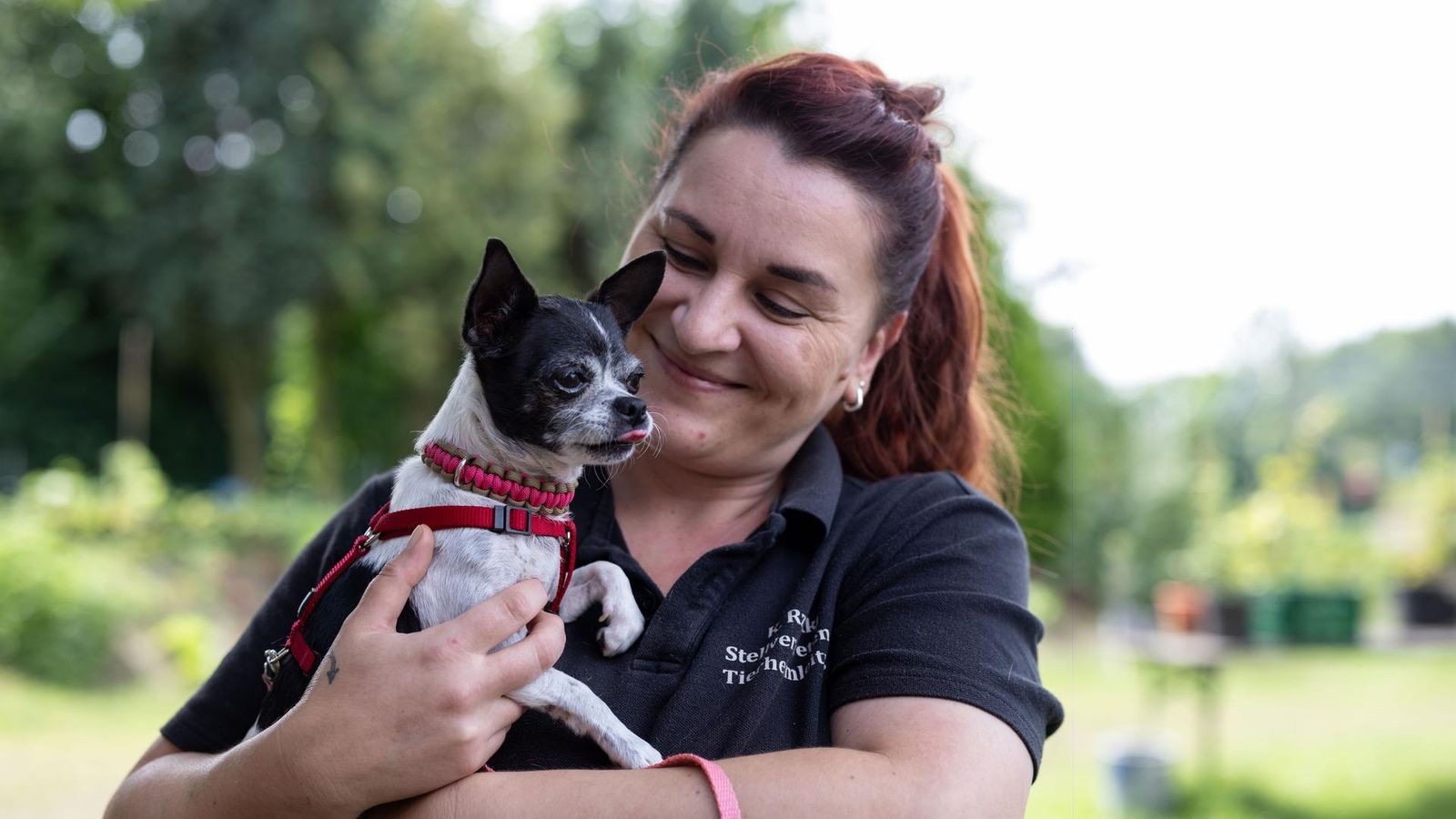 Tier aus dem Tierheim Bochum adoptieren: Das muss man beachten