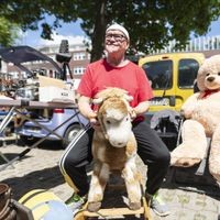 Der Flohmarkt um Rahmen des Gruga-Sommerfestes ist eine Fundgrube an Kuriositäten.