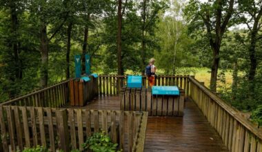 Auf dem Klimapfad durch den Grunewald