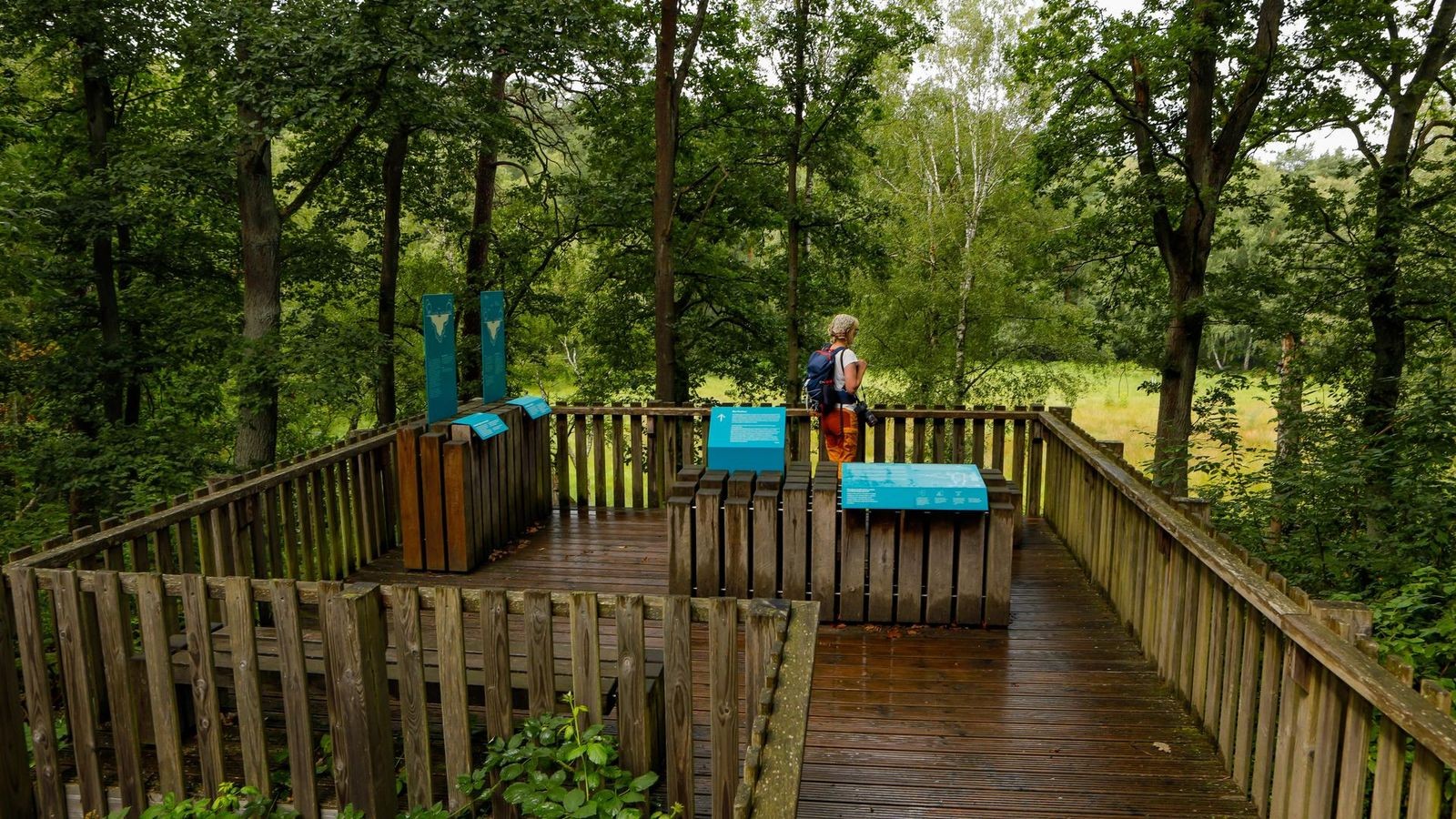 Auf dem Klimapfad durch den Grunewald