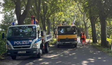 Sieben Wochen nach dem Sturm – So sieht es in Reinickendorf aus
