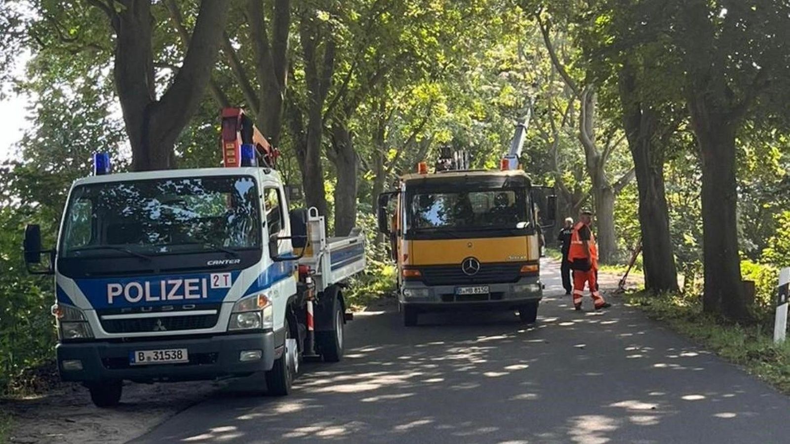 Sieben Wochen nach dem Sturm – So sieht es in Reinickendorf aus
