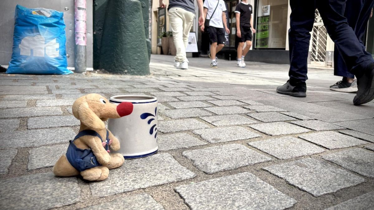 Isabell Götzingers Schutztier in der Düsseldorfer Altstadt: Eine Erinnerung an ihren Hund Murphy alias „Graf Rotz“.