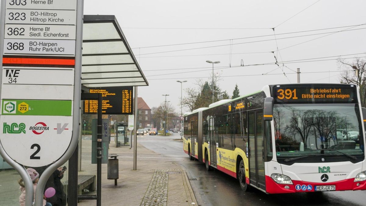 Neue Buslinie 391: Fahrer lernen Strecke kennen 