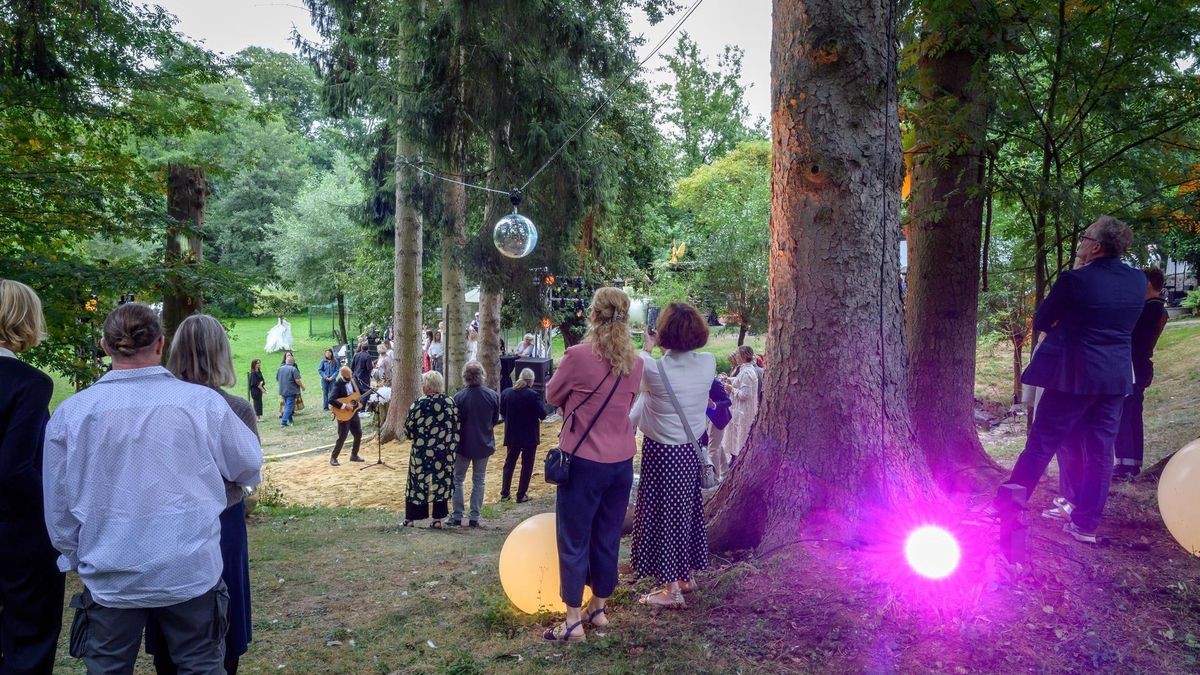Hattingen: Schwanensee Open Air in der Vogelstation Paasmühle